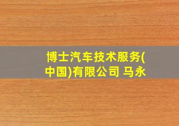 博士汽车技术服务(中国)有限公司 马永